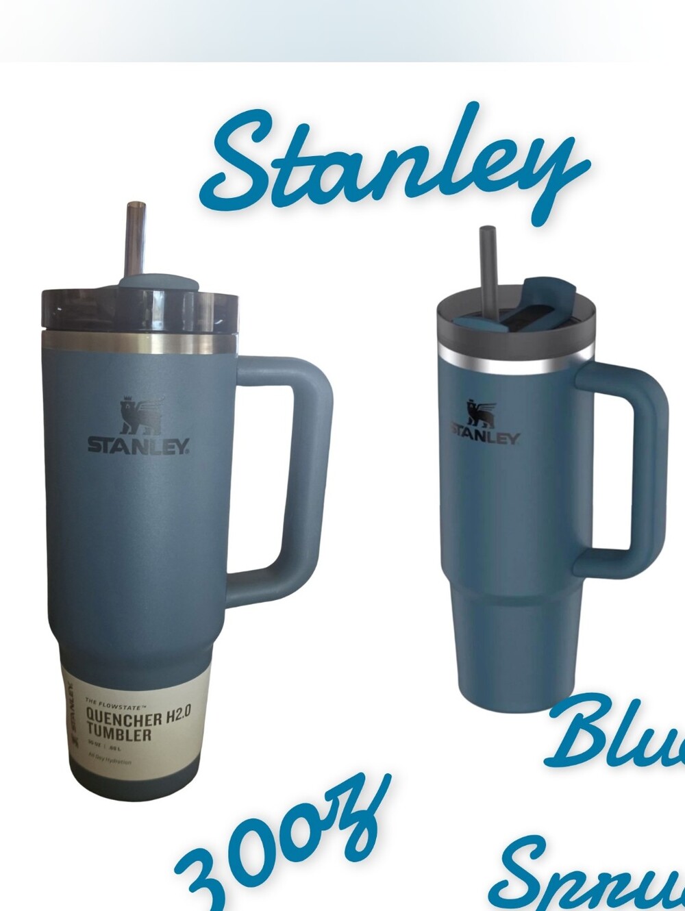 Stanley  Tumbler - 30 oz., Vacuum Insulated In Blue Spruce NEW